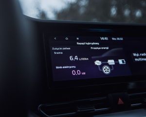 Kia-Niro-MY22---Detale-(8)