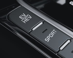 Center_Console_Button