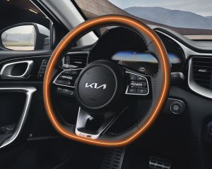 Heated_Steering_Wheel