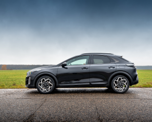 XCeed_GTL_statyczne_(5)